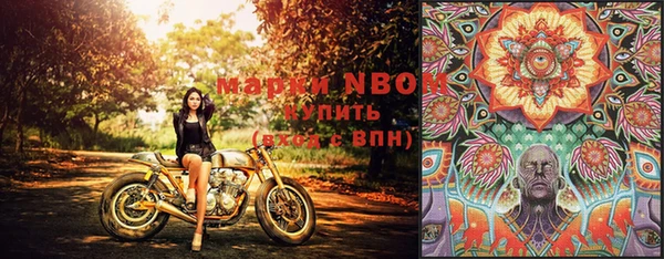 2c-b Алзамай